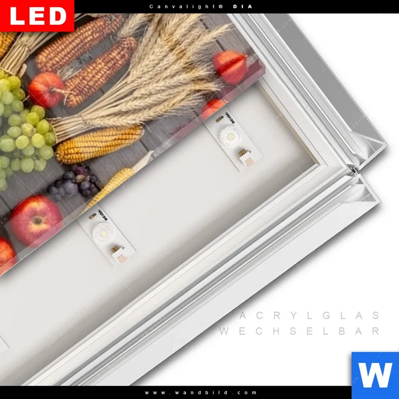 Leuchtbild Acrylglas Canvalight® DIA | Herbsternte Symmetrie in Bunt | Schmal