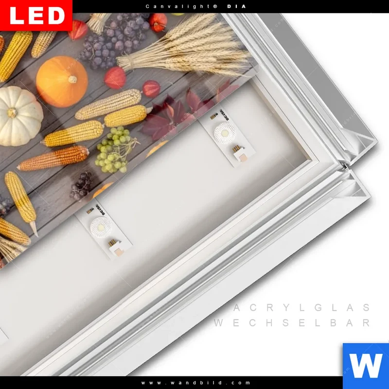 Leuchtbild Acrylglas Canvalight® DIA | Herbsternte Symmetrie in Bunt | Panorama
