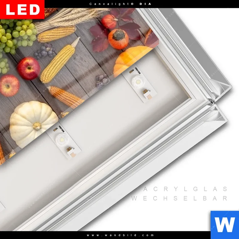 Leuchtbild Acrylglas Canvalight® DIA | Herbsternte Symmetrie in Bunt | Hochformat