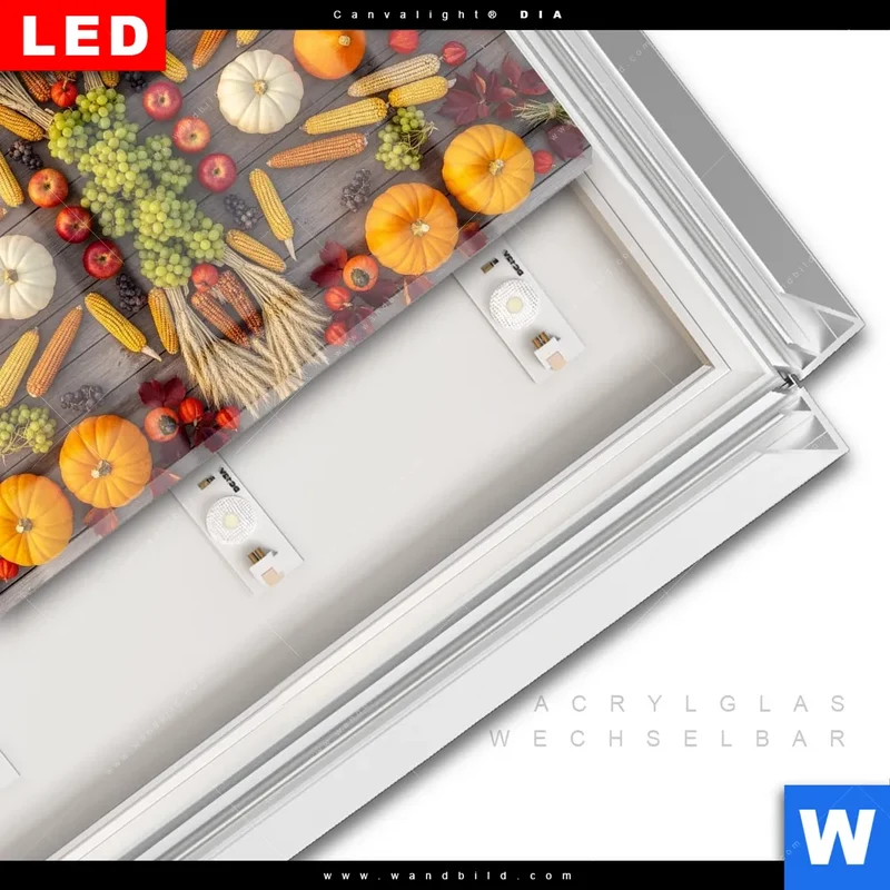 Leuchtbild Acrylglas Canvalight® DIA | Herbsternte Symmetrie in Bunt | Querformat