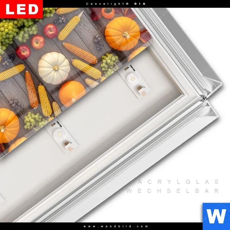 Leuchtbild Acrylglas Canvalight® DIA | Herbsternte Symmetrie in Bunt | Quadrat