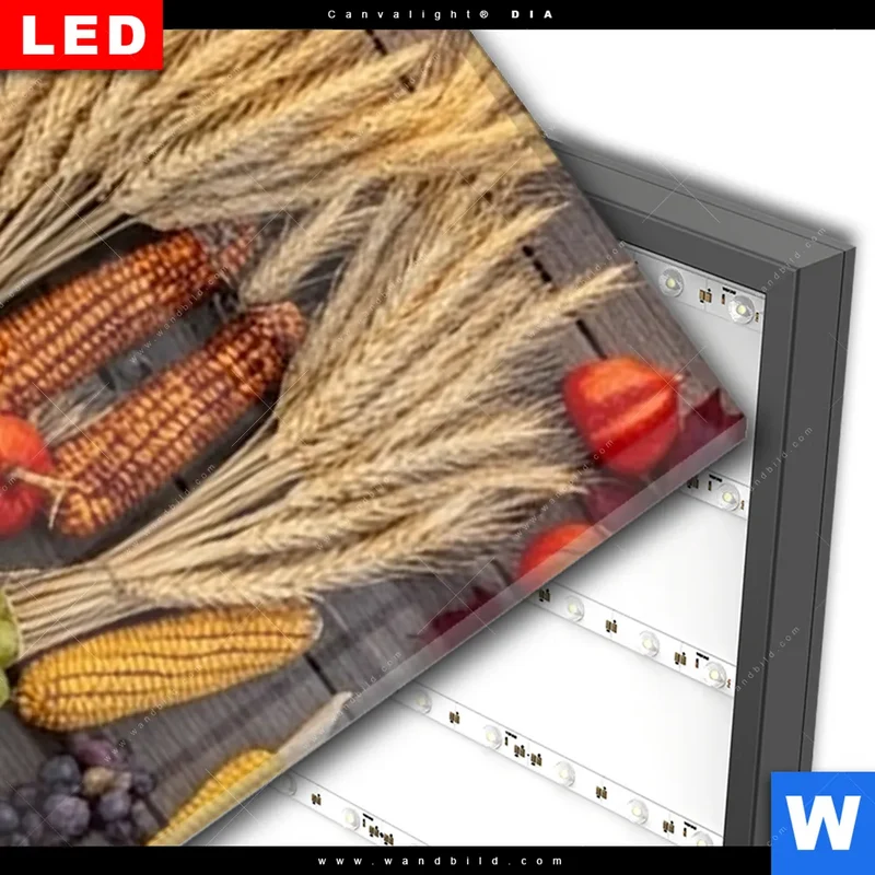 Wechselmotiv Acrylglas Canvalight® DIA | Herbsternte Symmetrie in Bunt | Schmal