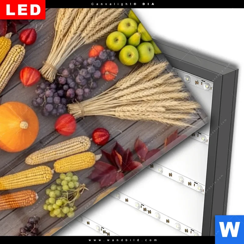 Wechselmotiv Acrylglas Canvalight® DIA | Herbsternte Symmetrie in Bunt | Panorama