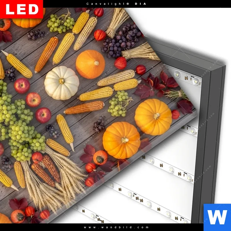 Wechselmotiv Acrylglas Canvalight® DIA | Herbsternte Symmetrie in Bunt | Querformat
