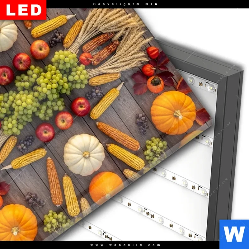 Wechselmotiv Acrylglas Canvalight® DIA | Herbsternte Symmetrie in Bunt | Quadrat
