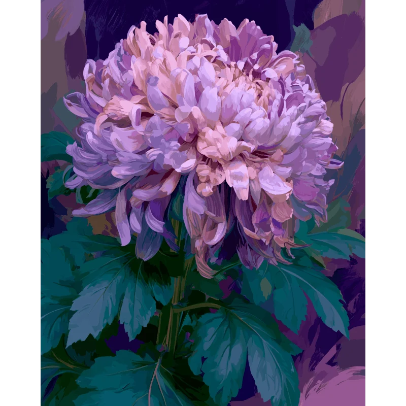 Lavendel-Chrysantheme