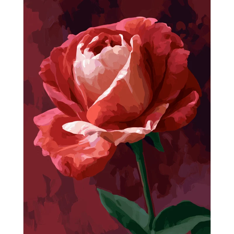Karmesinrote Rose