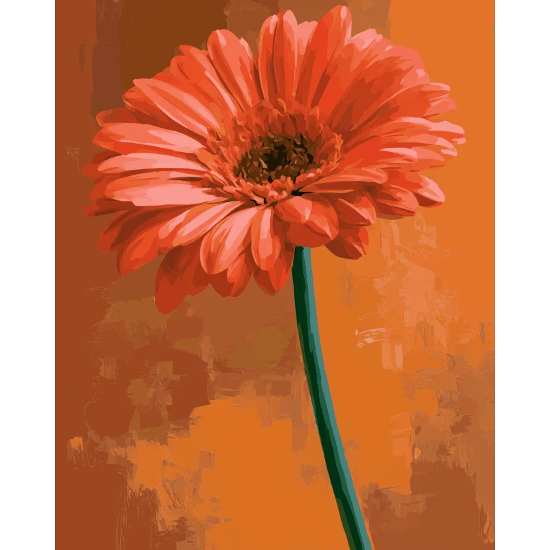 Gerbera im Sonnenuntergang
