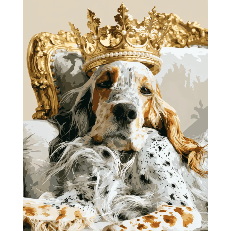 Königlicher Setter
