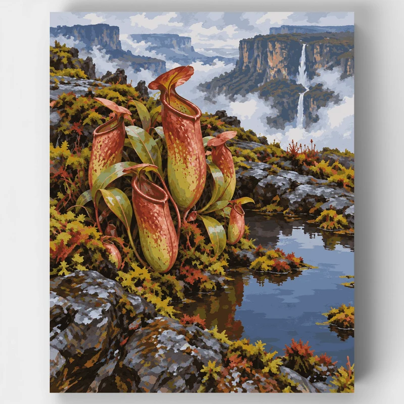 Tepui Pitcher Plants - Paint by Numbers Kit