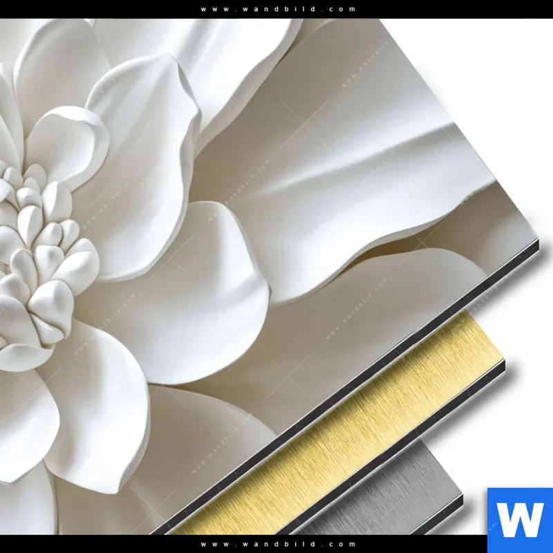 Aluminiumbild gebürstet | Weiße Blüte | Hochformat