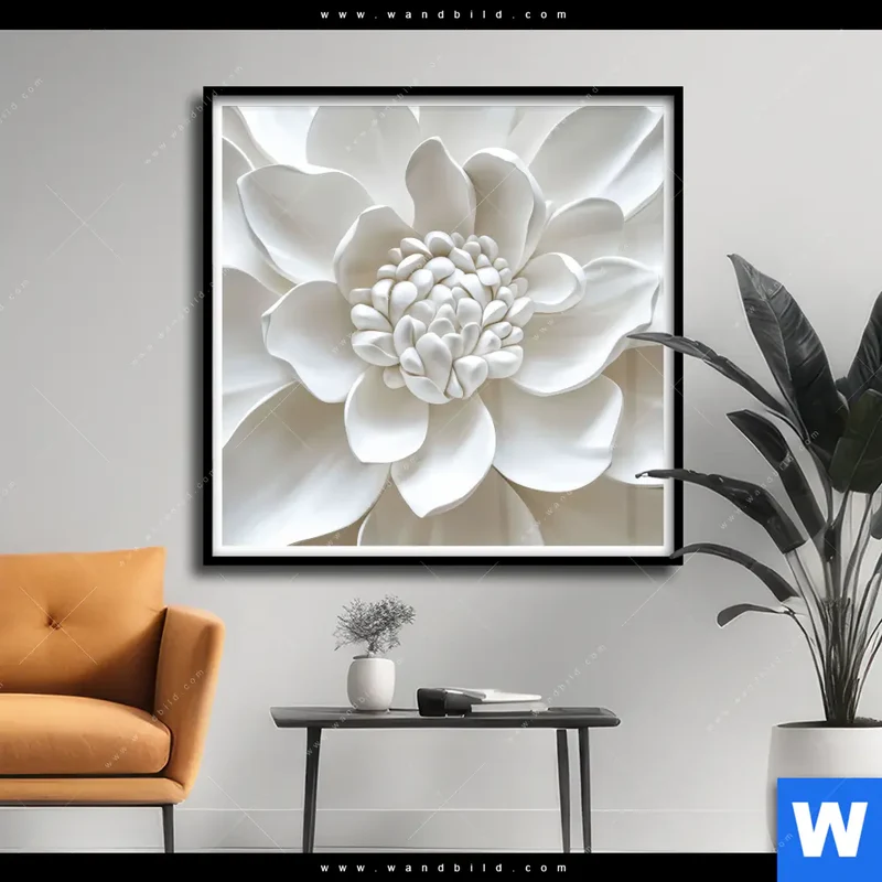 Poster | Weiße Blüte | Quadrat