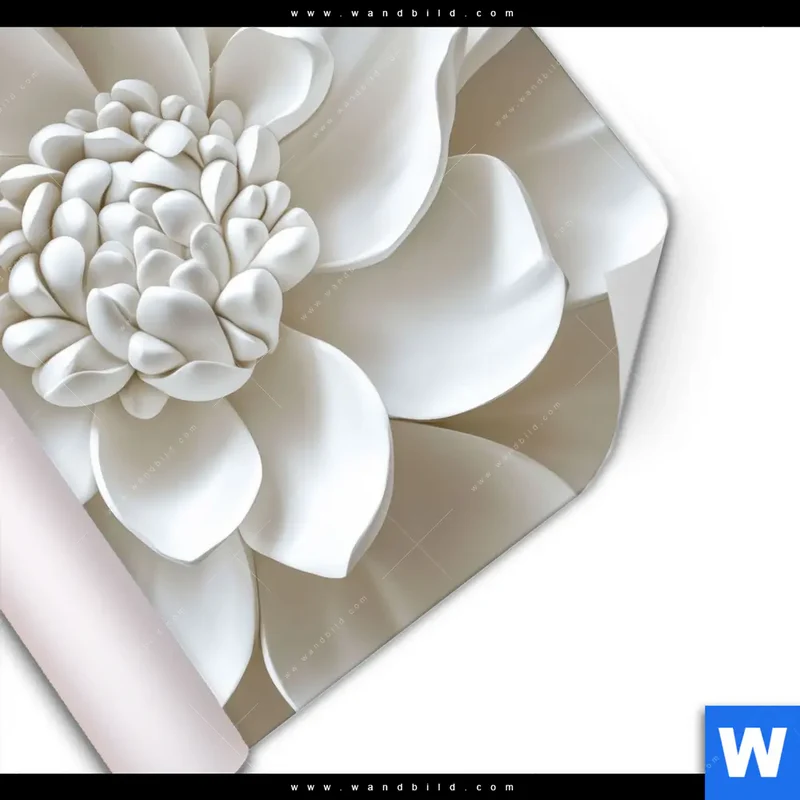 Poster | Weiße Blüte | Quadrat