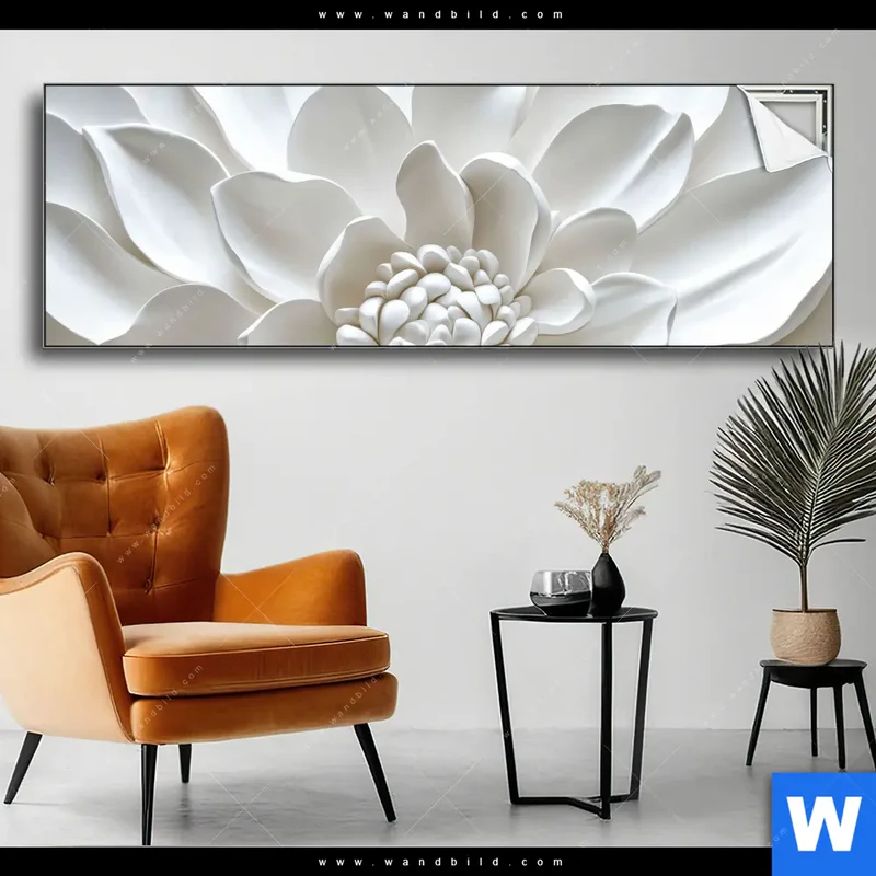 Spannbild | Weiße Blüte | Panorama