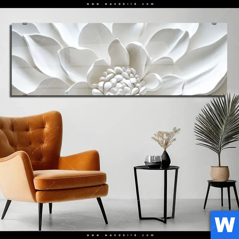 Acrylglasbild | Weiße Blüte | Panorama
