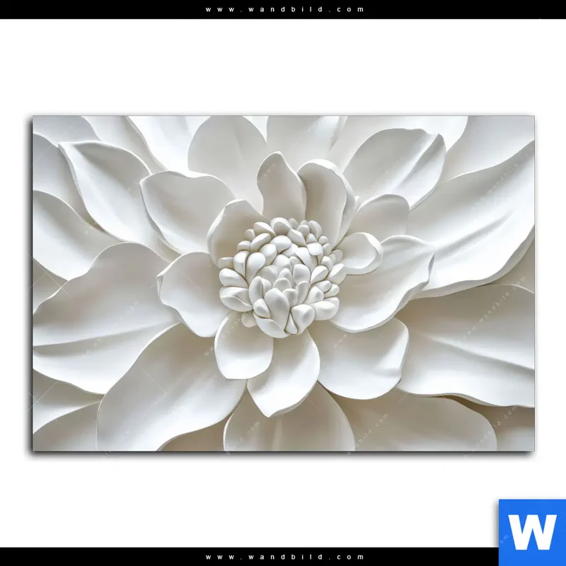 Leinwandbild | Weiße Blüte | Querformat