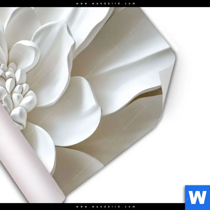 Poster | Weiße Blüte | Querformat
