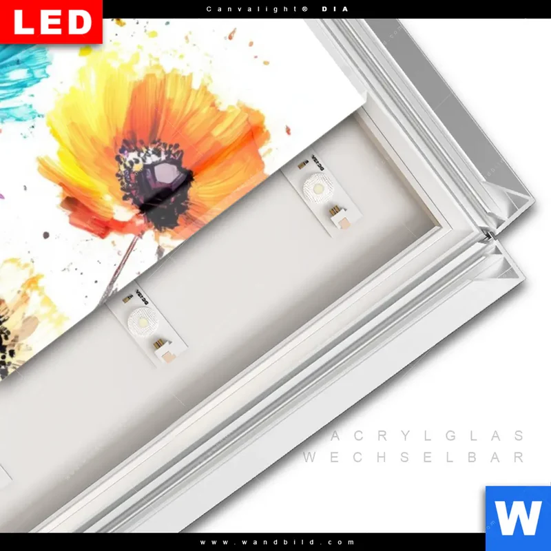 Leuchtbild Acrylglas Canvalight® DIA | Bunte Blütenexplosion | Schmal