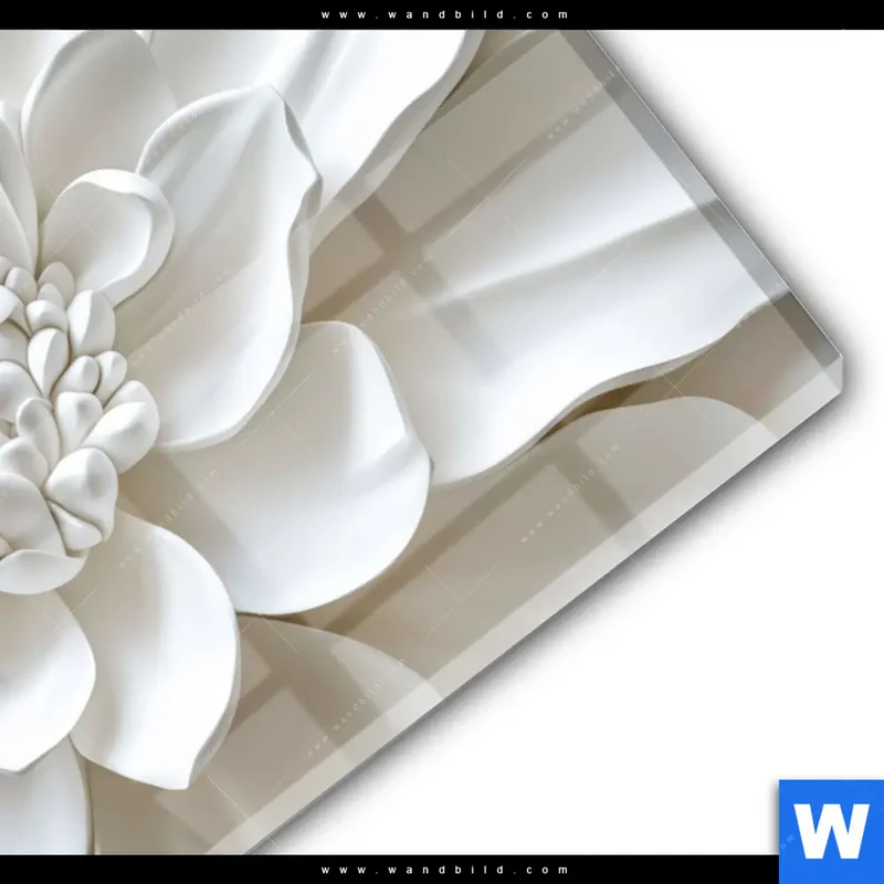 Acrylglasbild | Weiße Blüte | Hochformat