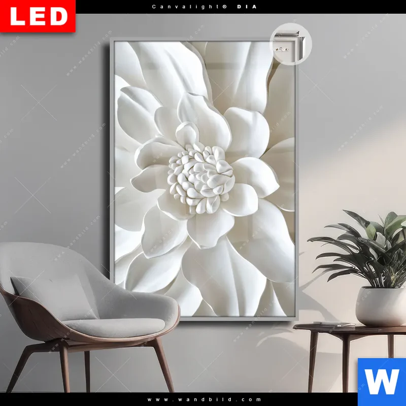 Leuchtbild Acrylglas Canvalight® DIA | Weiße Blüte | Hochformat