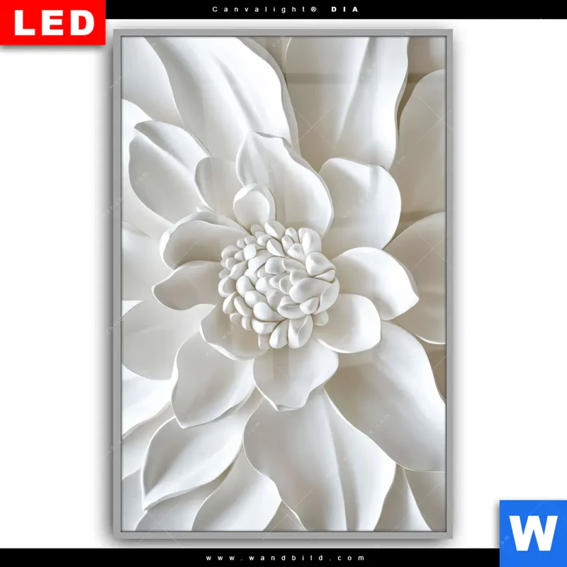 Leuchtbild Acrylglas Canvalight® DIA | Weiße Blüte | Hochformat