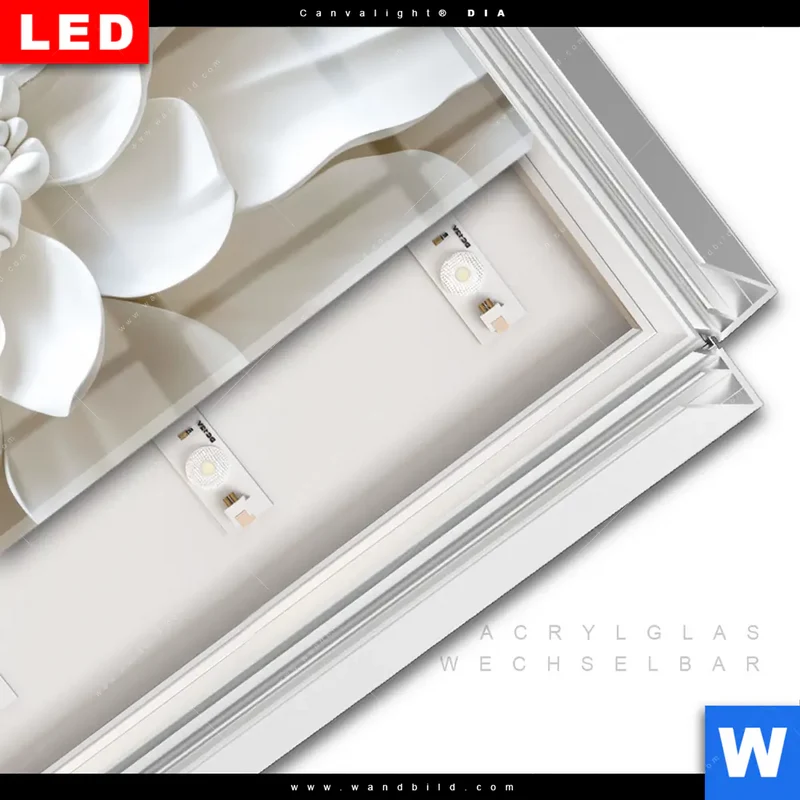 Leuchtbild Acrylglas Canvalight® DIA | Weiße Blüte | Hochformat