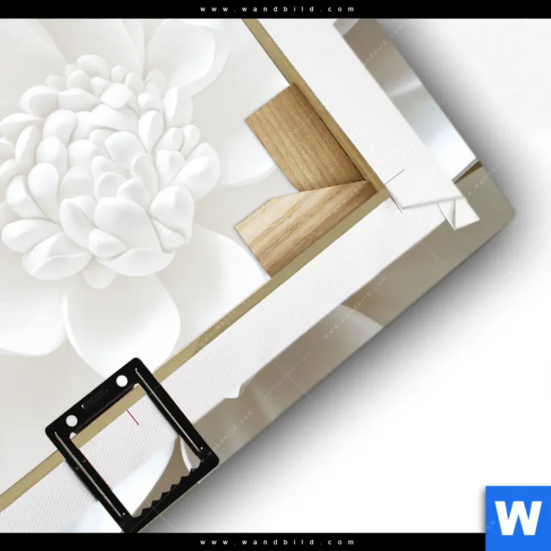 Leinwandbild | Weiße Blüte | Quadrat