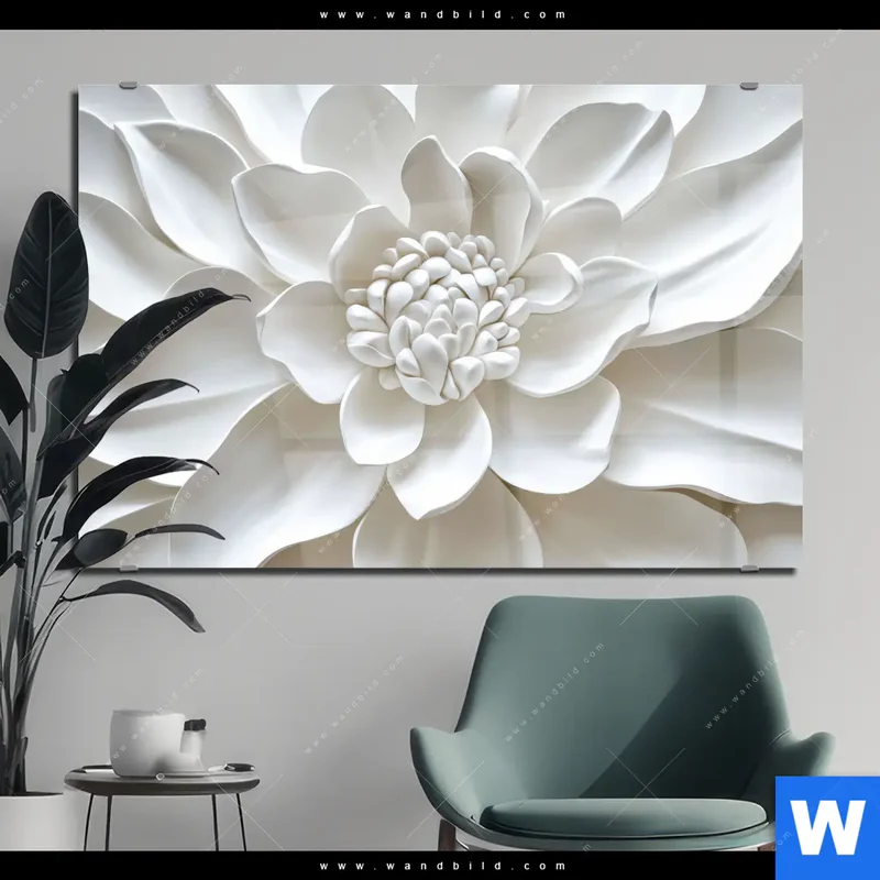 Acrylglasbild | Weiße Blüte | Querformat