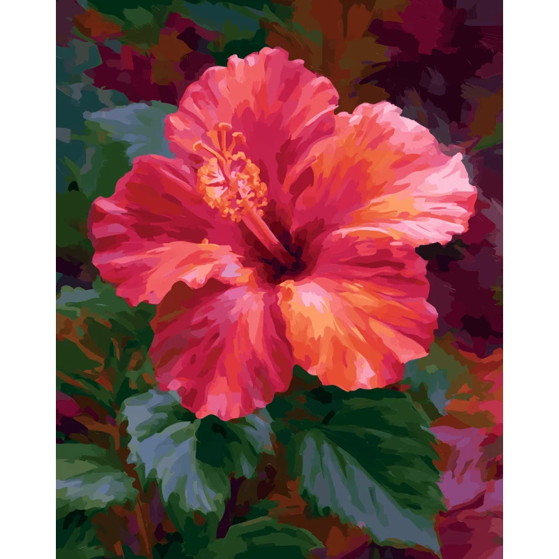 Korallenroter Hibiskus