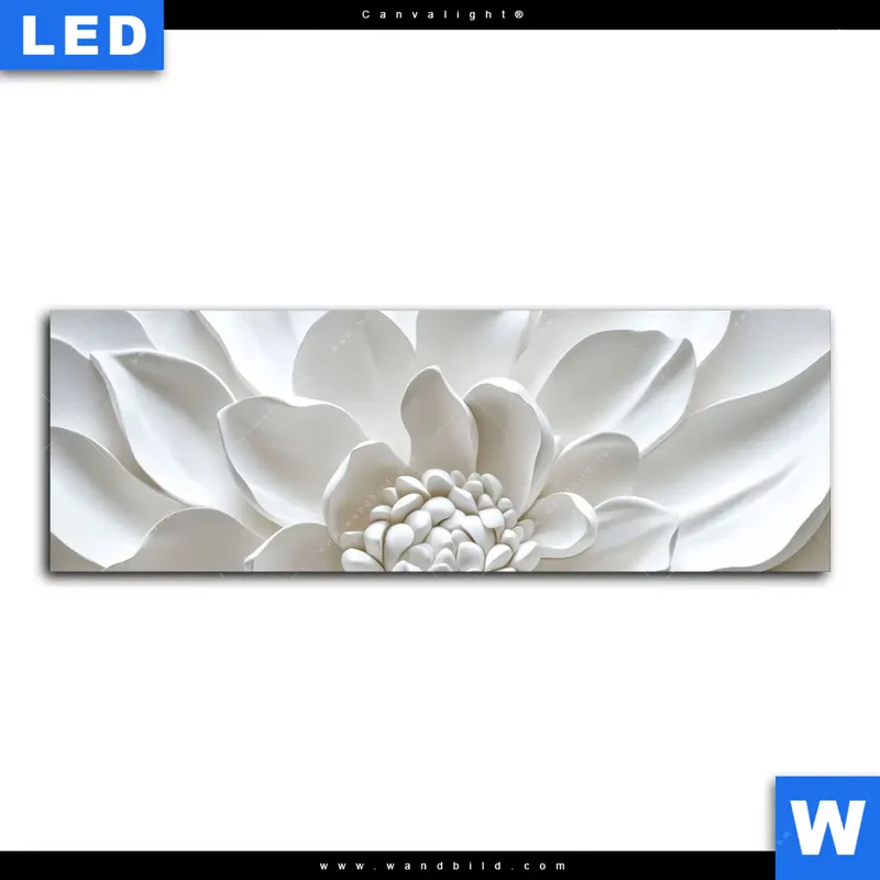 Canvalight® Leuchtbild | Weiße Blüte | Panorama