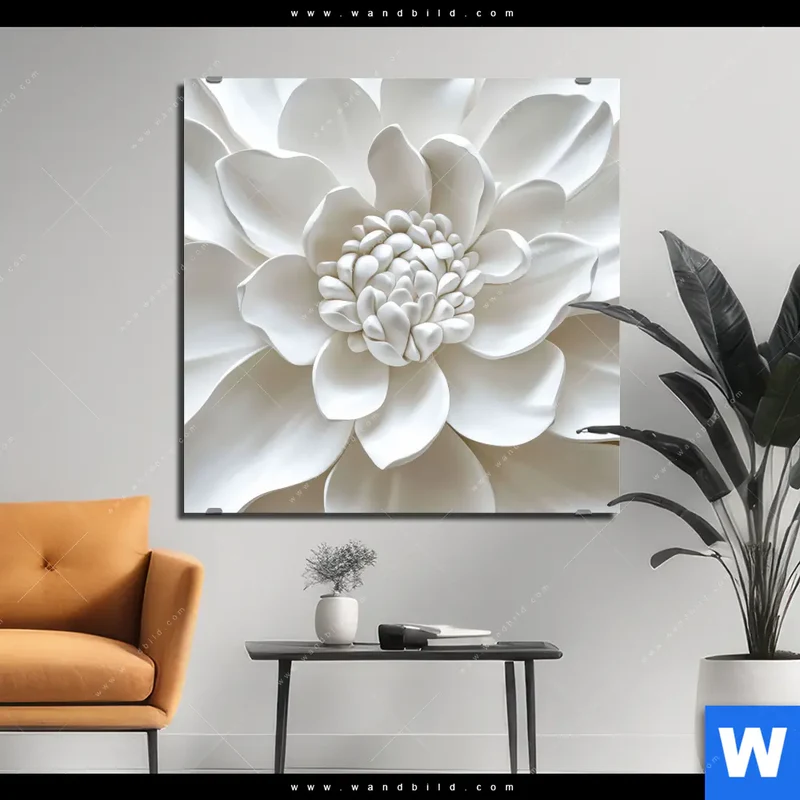 Alu-Dibond Bild | Weiße Blüte | Quadrat