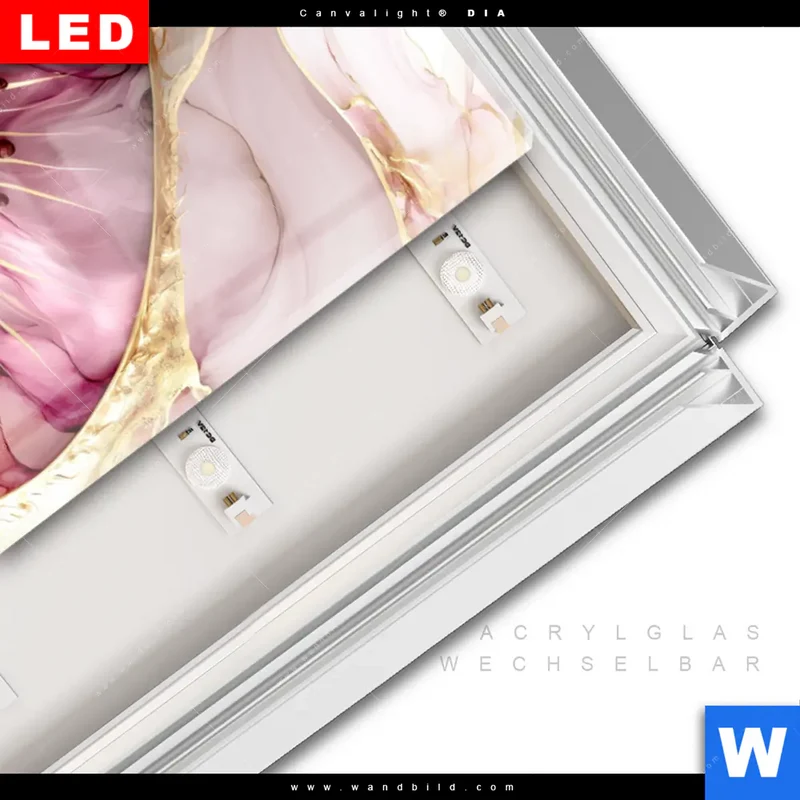Leuchtbild Acrylglas Canvalight® DIA | Kiwi - Edle Fruchtfantasie | Schmal