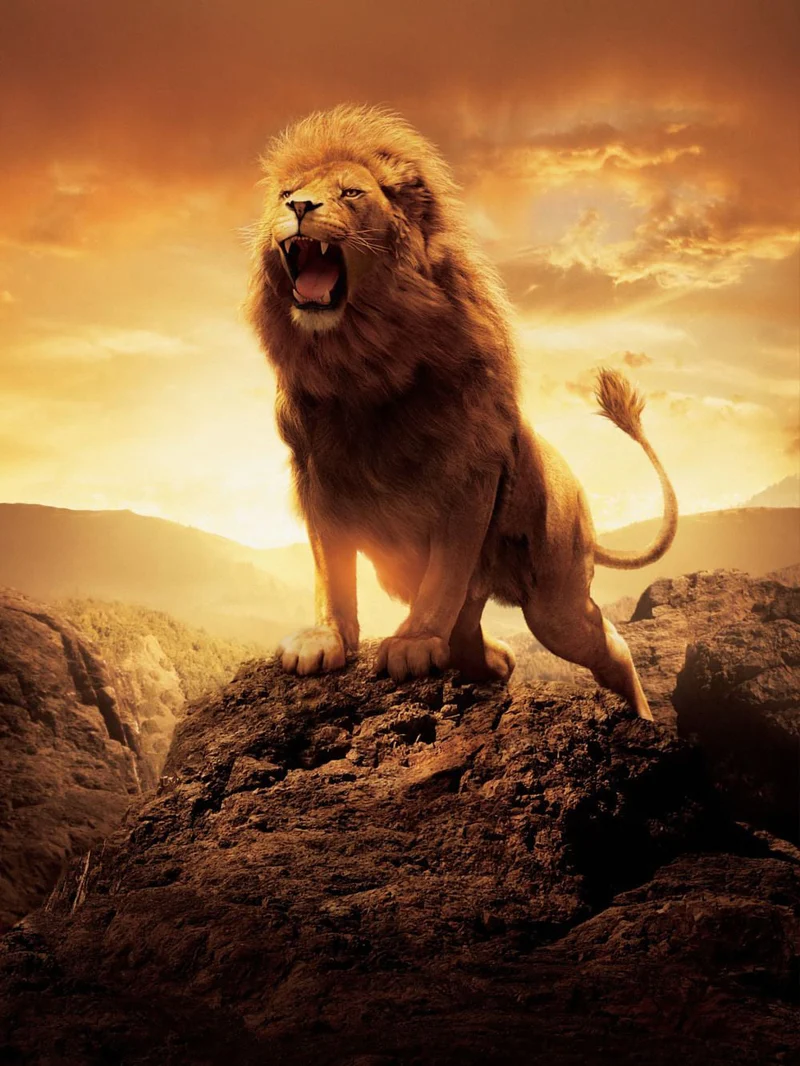 Lion PIX-181
