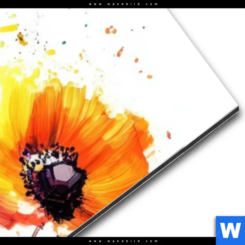 Alu-Dibond Bild | Bunte Blütenexplosion | Schmal