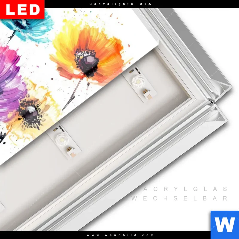 Leuchtbild Acrylglas Canvalight® DIA | Bunte Blütenexplosion | Hochformat