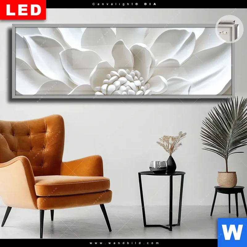 Leuchtbild Acrylglas Canvalight® DIA | Weiße Blüte | Panorama