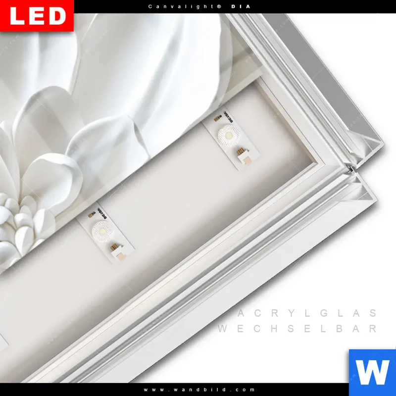 Leuchtbild Acrylglas Canvalight® DIA | Weiße Blüte | Panorama