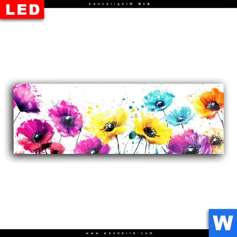 Wechselmotiv Acrylglas Canvalight® DIA | Bunte Blütenexplosion | Panorama