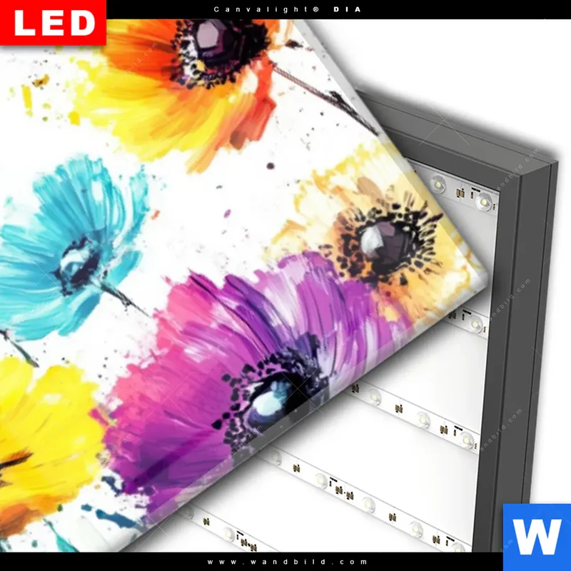 Wechselmotiv Acrylglas Canvalight® DIA | Bunte Blütenexplosion | Panorama
