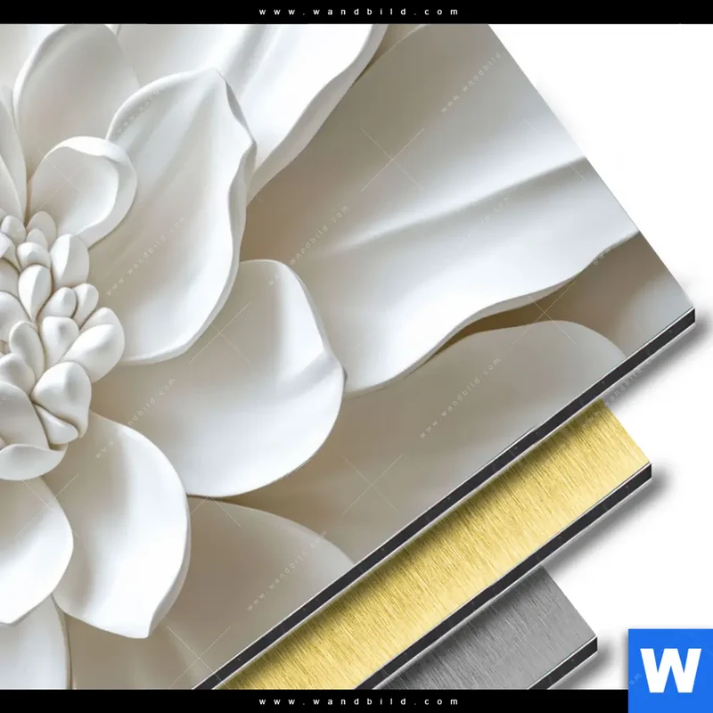 Aluminiumbild gebürstet | Weiße Blüte | Querformat