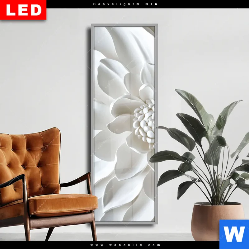 Wechselmotiv Acrylglas Canvalight® DIA | Weiße Blüte | Schmal