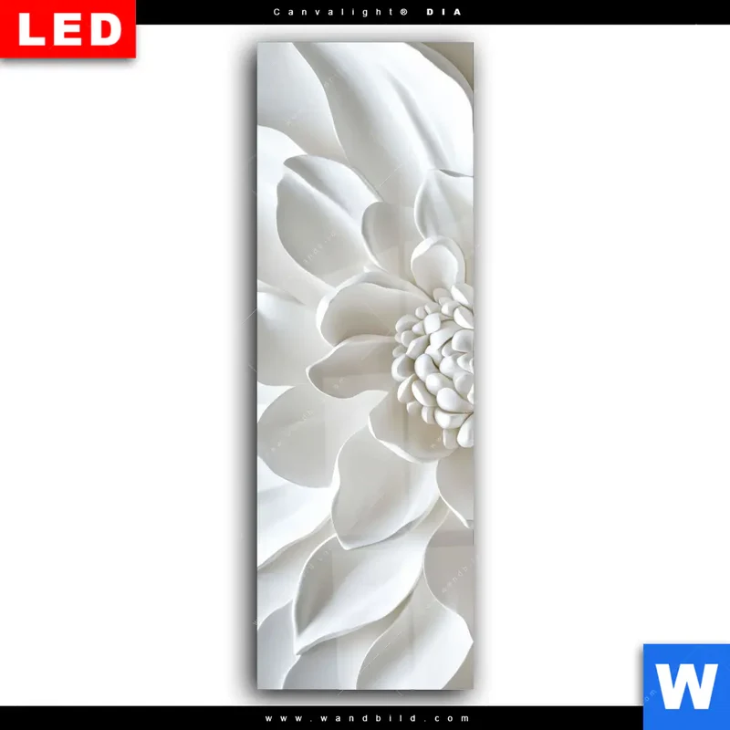 Wechselmotiv Acrylglas Canvalight® DIA | Weiße Blüte | Schmal