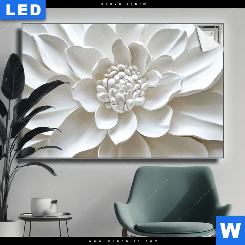 Canvalight® Leuchtbild | Weiße Blüte | Querformat