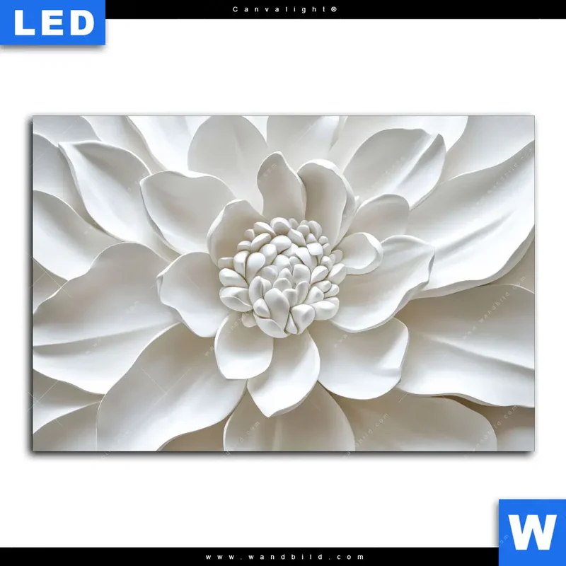 Canvalight® Leuchtbild | Weiße Blüte | Querformat