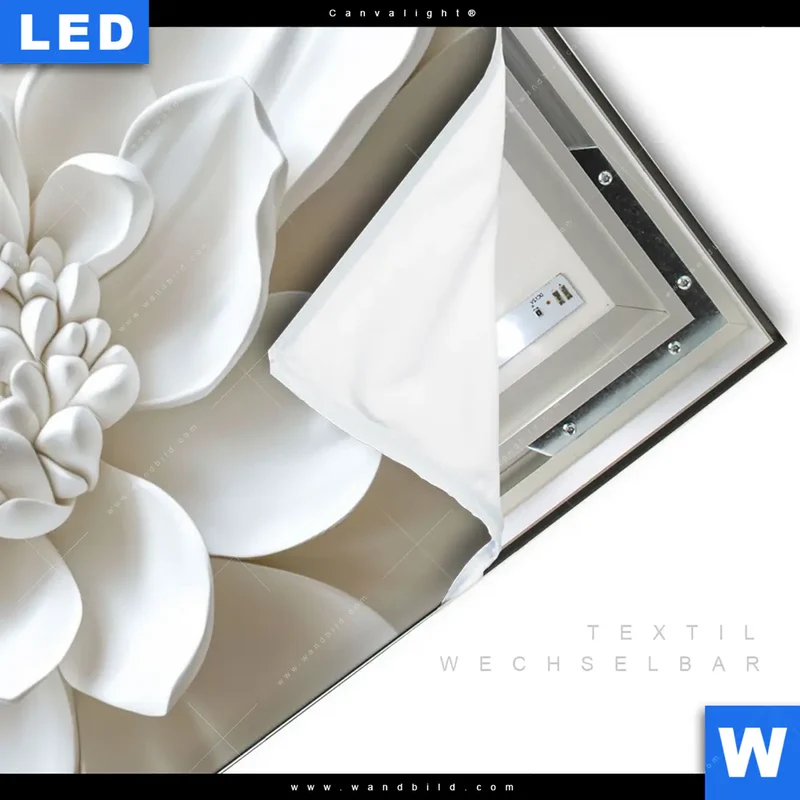 Canvalight® Leuchtbild | Weiße Blüte | Querformat