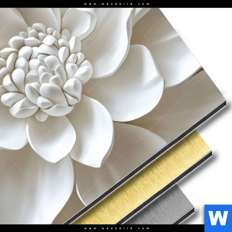 Aluminiumbild gebürstet | Weiße Blüte | Quadrat