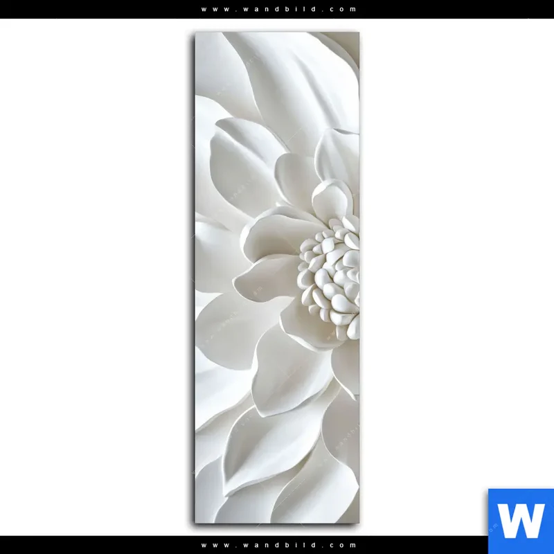 Leinwandbild | Weiße Blüte | Schmal