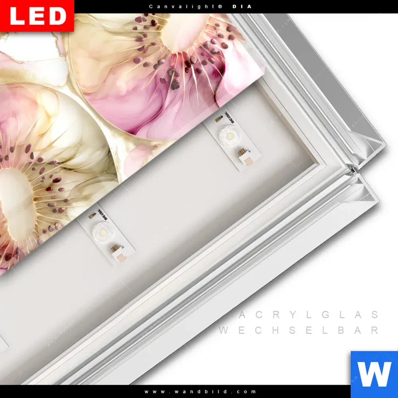 Leuchtbild Acrylglas Canvalight® DIA | Kiwi - Edle Fruchtfantasie | Quadrat