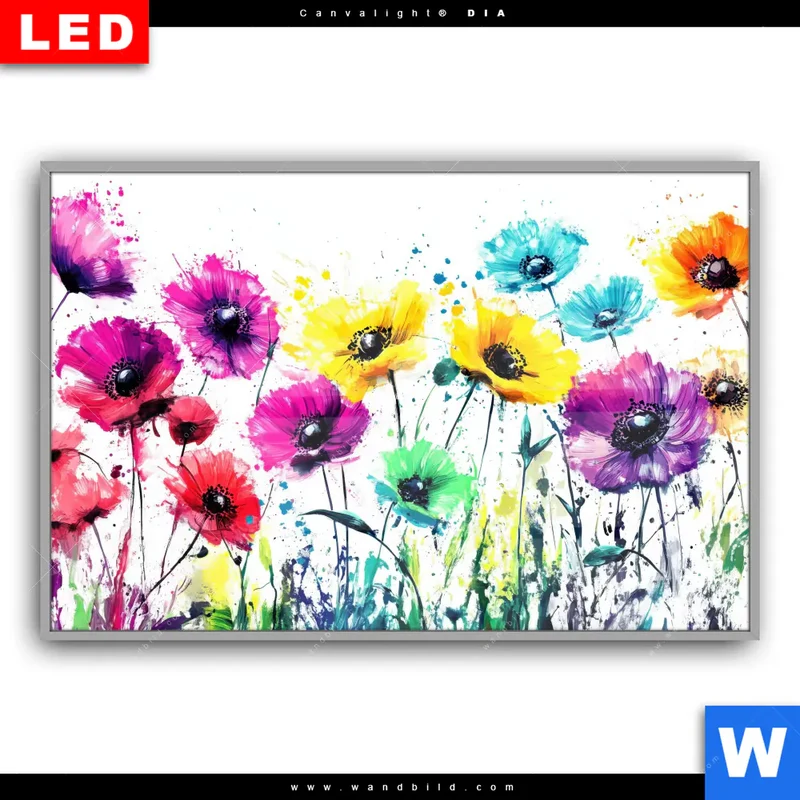 Leuchtbild Acrylglas Canvalight® DIA | Bunte Blütenexplosion | Querformat
