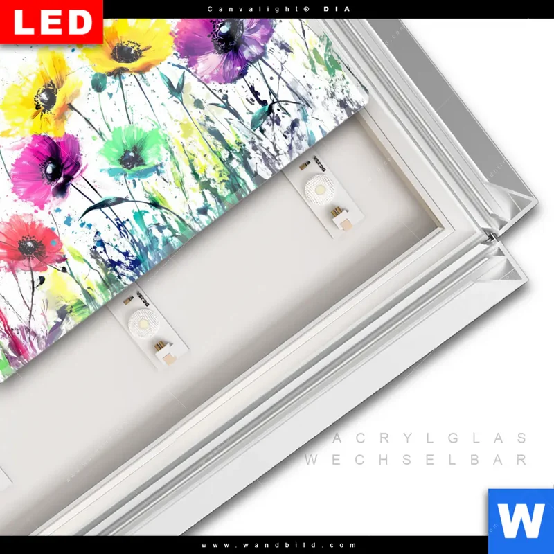 Leuchtbild Acrylglas Canvalight® DIA | Bunte Blütenexplosion | Querformat